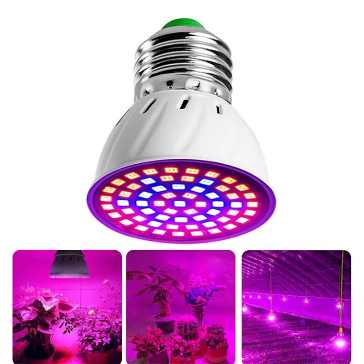 220V E27 60LEDs Plant Grow Light Phyto Lamps Led Full Spectrum Growing ...
