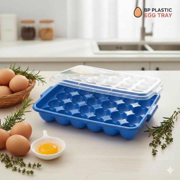 Plastic%2024%20Pieces%20Egg%20Tray%20-%20Safely%20Store%20And%20Transport%20Your%20Eggs%20With%20This%20Durable%20Tray%20-%20Image%203