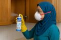 Termite & Wood Borer Killer – Solignum Wood Preservative Spray for 12/12 new year sale. 