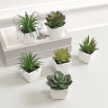 6PCS Home Decoration, Mini Evergreen Artificial Succulent Small Potted Plants. 