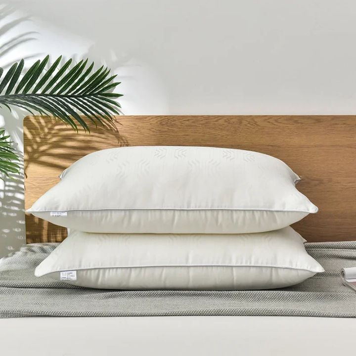 Mulberry Silk Bedding Pillows 48*74 1100 Grams Natural Silk Filling Jacquard Anti Mite Soft Fluffy Hotel Neck Sleeping Pillows