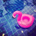 Float Inflatable Drink Cup Holder Party Decor Water Cup Holder Pool Toys Beach Inflatables Summer Holiday Product. 