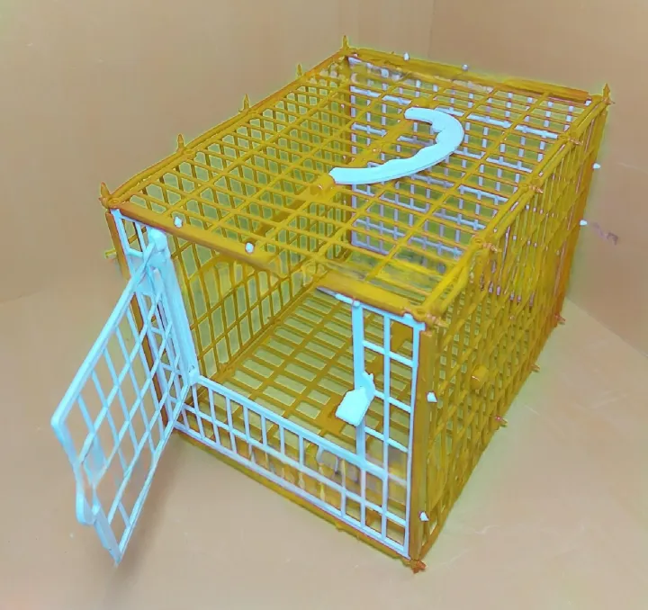 Small%20Folding%20Birds%20Carrying%20Cage%20%7C%20Portable%20Lightweight%20Travel%20Cage%20for%20Pigeons,%20Budgerigars,%20Cockatiels,%20Parrots,%20and%20More%20%7C%20Ideal%20for%20Transport%20and%20Temporary%20Housing%20-%20Bangladesh%20-%20Image%204