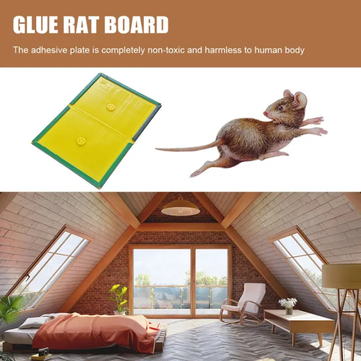 Indoor%20Strong%20Adhesive%20Mouse%20Traps125Non-toxic%20Eco-friendly%20High-efficiency%20Mouse%20Trap%20Cockroach%20Killer%20Insect%20Killer%20Sticker%20Ho%20-%20Image%206