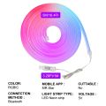 Smart WiFi RGBIC Neon LED Strip Light 5V USB,Dreamcolor Chasing & Music Sync,Alexa/ Voice Control, Room/Party/Gaming Decor lightify. 
