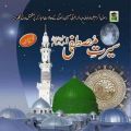 Book Serat un Nabi Cerat Mustafa Seerat e Nabi Mtm. 