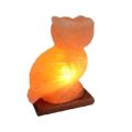 HIMALAYAN SALT OWL-SHAPED LAMP BIG SIZE FOR HOME DECORATION. 