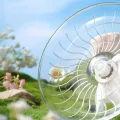 Small Pet Silent Running Practice Wheel Hamster Mouse Hedgehog Parrot Ideal Choice for Small Animals Quiet and Safe Choice. 