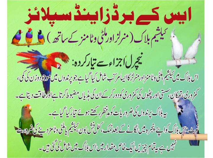 Pack%20of%209%20Calcium%20Block%20For%20Budgies%20Love%20Birds%20Cocktails%20Finch%20Java%20Ring%20Necks%20Raw%20Parrots%20Sun%20Cunuor%20Grey%20Parrots%20and%20Turtles%20-%20Image%206