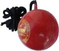 Cricket hanging balls for Hard ball cricket practices. 