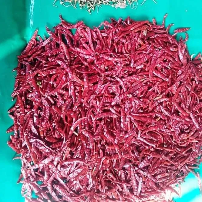 premium%20quality%20red%20chilli%20powder%20-%20Image%203
