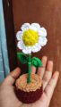 crochet flower tob. 