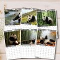 1PC Charming Bamboo Forest Panda Calendar, Fit For Home Decor, Great For Wildlife Lovers, Nice New Year Present. 