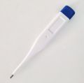 Digital thermometer. 