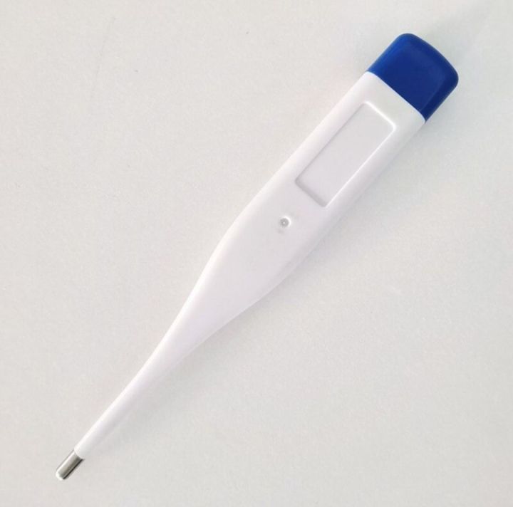 Digital%20thermometer%20-%20Image%202