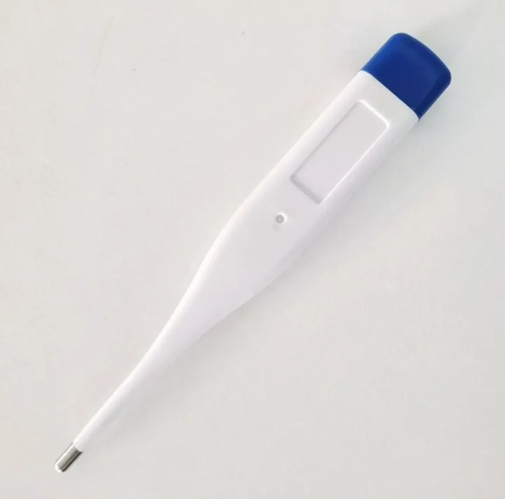 Digital%20thermometer%20-%20Image%202