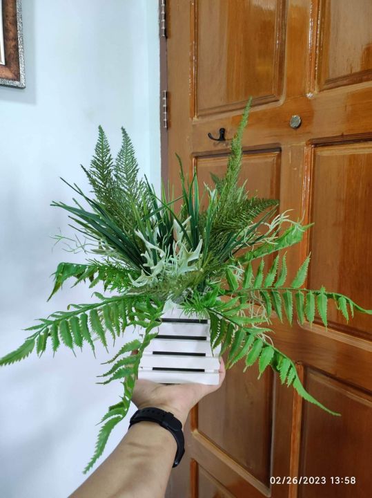 %E1%80%A1%E1%80%9C%E1%80%BE%E1%80%86%E1%80%84%E1%80%BA%E1%80%95%E1%80%94%E1%80%BA%E1%80%B8%E1%80%A1%E1%80%AD%E1%80%AF%E1%80%B8%20Tropical%20Flowers%20Arrangements%20with%20wood%20box%20-%20Image%204