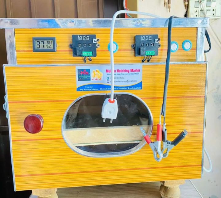 40 to 50 Eggs capacity semi Automatic Ac dc solar  incubator for hatching Eggs