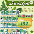 Chia Tai (buy 10 get 2) 5g of red okra seeds, about 120 roselle seeds, roselle seeds, vegetable seeds, planting vegetables, Garden Kitchen. 