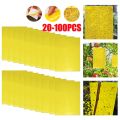 Fly Paper Stickers for Indoor House Plant, Fungus Killer Trap Gnat Catcher, Yellow Double Side Sticky Trap for Gnat, Fruit Fly,. 
