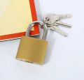 Medium Size Padlock. 