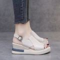 2025 Summer Wedge Platform Sandals Fashion Retro Romen Beach Shoes Ladies Casual Peep Toe Soft Comfortable Sandalias De Mujer. 