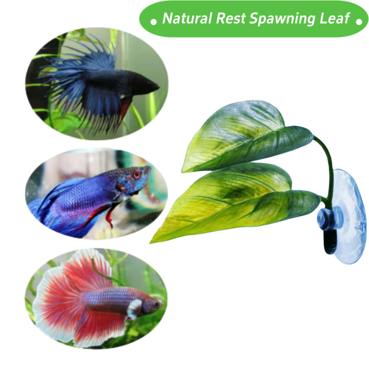 Pets%20Fish%20Tank%20Decor%20Betta%20Relax%20Play%20Plants%20Leaf%20Aquarium%20Decoration%20Fish%20Spawning%20Ornamental%20Artificial%20Leaf%20Hammock%20-%20Image%202