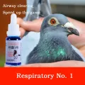 NEW Respiratory Tract No. 1 Racing Pigeon Removes Mucus In The Respiratory Tract, Breathes The Nose and Speeds Up The Race. 