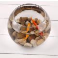 Round Transparent Crystal Glass Bowl Clear Sphere Vase Fish Tank. 