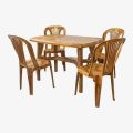 Bagmati Molded Plastic Rectangle Table & Armless Chair Set ( 4 Chairs and 1 Table). 