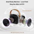 K12 Bluetooth Karaoke Machine Portable  5.3 PA Speaker System with 1-2 Wireless Microphones Home Family Singing Children's Gifts. 