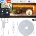 Tuya Wifi PIR Motion Sensor Super Bright LED Strip Neon Light Dimmable Waterproof Neon Lamp Flexible Tape Silicone Bedroom Decor. 