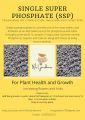SSP - Single Super Phosphate , 250gm , Organic Fertilizer for plants. 