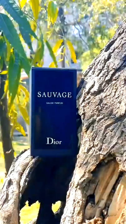 Dior - SAUVAGE IMPRESSION Perfume and long lasting perfume and good fragrance and best for men and best for gift - 100ml