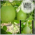 Labu/ Bottle gourd 2g seeds pack home garden. 