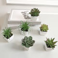 6PCS Home Decoration, Mini Evergreen Artificial Succulent Small Potted Plants. 