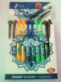 Smart Fountain Pen ( Special Edition) pack of 10 pcs. 