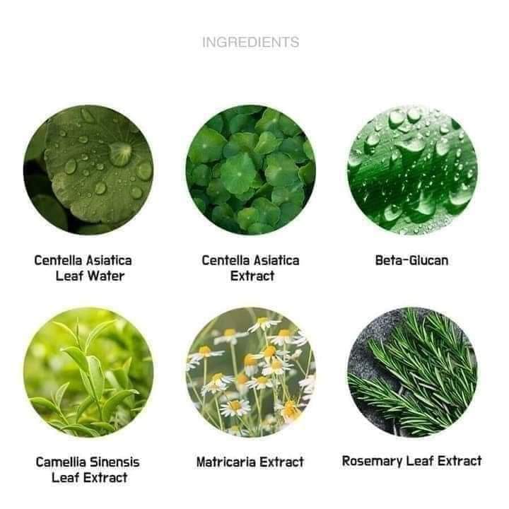 Graymelin%20Mugwort%20Pure%20Serum%20%7B%2050%20ml%20%7D%20-%20Image%203