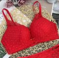 Bridal bra panty sexy pushup lace seamless net hot brazier transparent panty bedroom lingerie 32 to 36. 