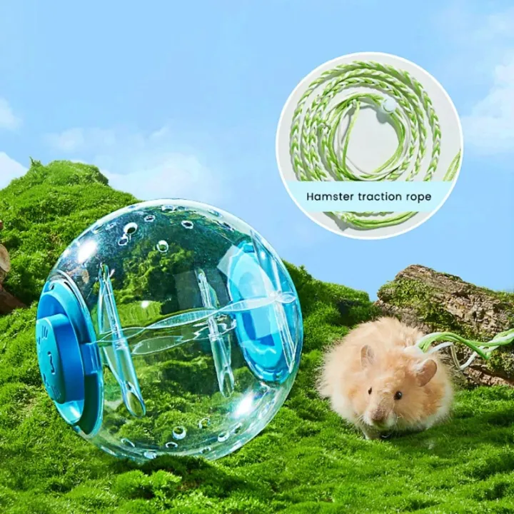 Hamster%20Exercise%20Ball%20Transparent%20Hamster%20Running%20Ball%20Wheel%20With%20Traction%20Rope%20For%20Small%20Animals%20Pet%20Supplies%2014cm/18/cm%20-%20Image%203