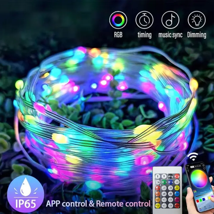 Rgb Led String WS2812B RGB LED String 20m 10m 5m DIY Smart IC APP Bluetooth Remote ...