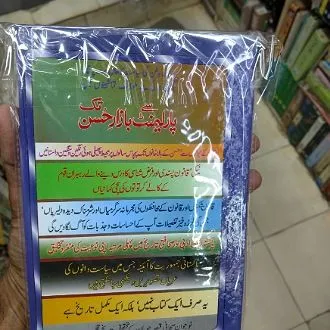 Parliament%20Se%20Bazaar%20e%20Husan%20Tak%20Urdu%20book%20-%20Image%202