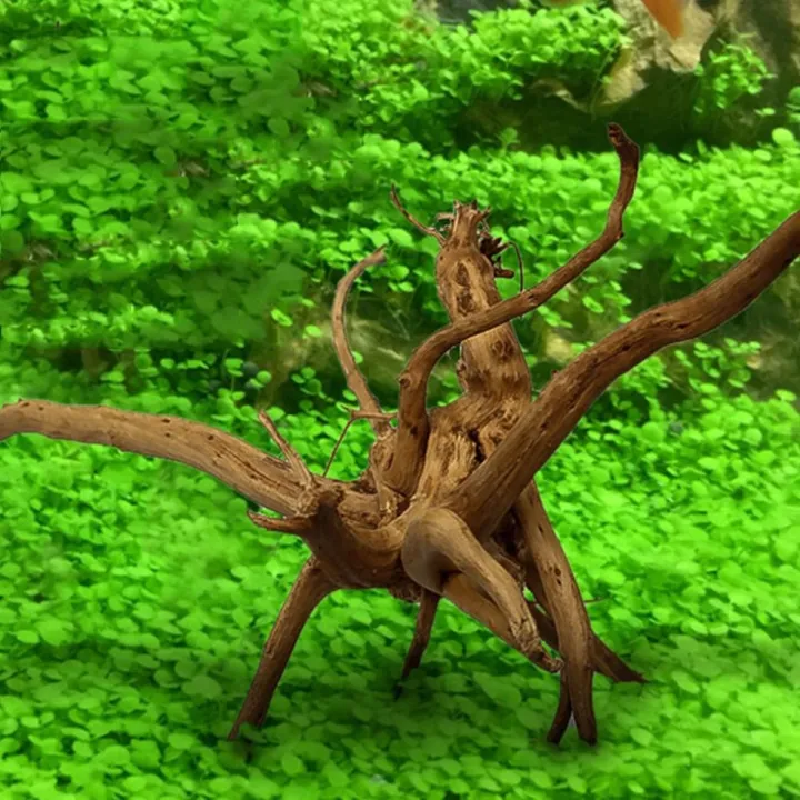 1%20Pcs%20Wood%20Natural%20Trunk%20Driftwood%20Tree%20Aquarium%20Fish%20Tank%20Plant%20Stump%20Aquarium%20Fish%20Tank%20Ornament%20Landscaping%20Decoration%20-%20Image%206