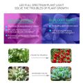 LED COB Grow Chip Full Spectrum LED Grow Light Lamp 100W 70W 50W Welding Free Phyto Lamp For Plants Indoor Grow Tent F5454 Chip. 