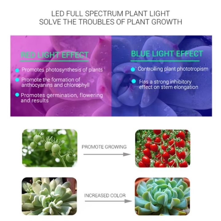LED%20COB%20Grow%20Chip%20Full%20Spectrum%20LED%20Grow%20Light%20Lamp%20100W%2070W%2050W%20Welding%20Free%20Phyto%20Lamp%20For%20Plants%20Indoor%20Grow%20Tent%20F5454%20Chip%20-%20Image%204