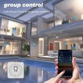16A Wifi Smart Switch  2 Way Control Smart Home Light Switches Module Work with Tuya app Smart Life Alexa  Home Switch. 