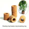 High   Quality Aquarium Plant Fixation Rings - Breathing Rings for Aquatic Plants Ensure Stability and  Health in Aquascaping. 