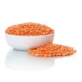 Medium Moshur Pulses Special Pure Indian Lentils Medium Moshur Dal - 1 Kg Imported. 