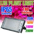 200W Full Spectrum Plant Light Indoor LED Planting Fill Lamps 180-240V Greenhouse Tent Vegs Hydroponics Seeds Cultivation Lamp. 