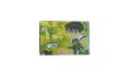 Ben10 Firecrackers for fun (pack of 3). 